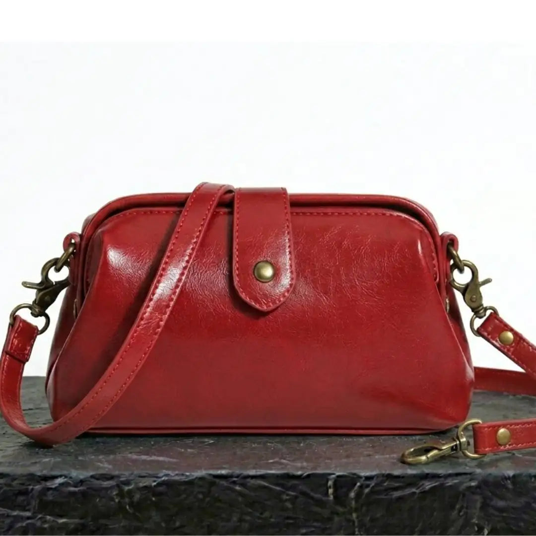 Bolso nova vintage